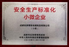 安全生产标准化小微企业